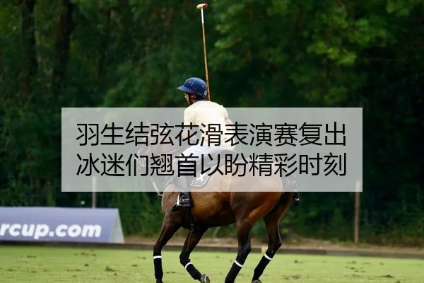 羽生结弦花滑表演赛复出 冰迷们翘首以盼精彩时刻